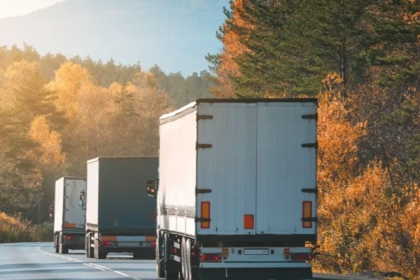 Ankara Tercan Nakliyat